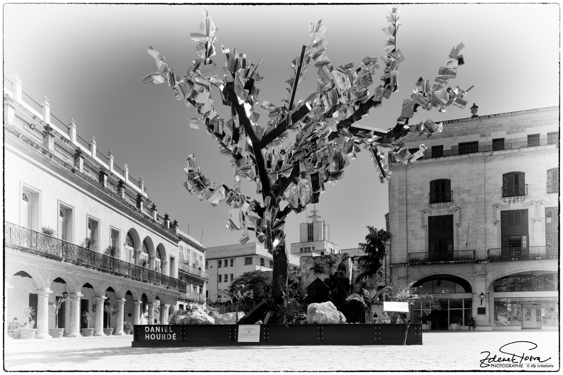 L'arbre aux mille voix, La vielle Havane